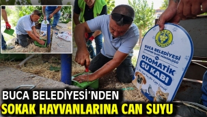 Buca Belediyesi'nden sokak hayvanlarına can suyu