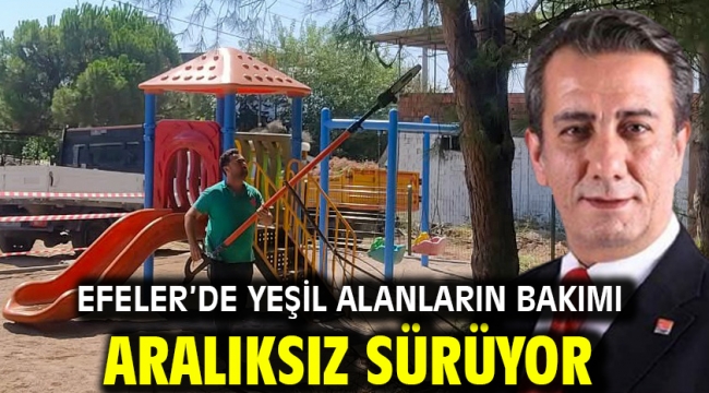 EFELER'DE YEŞİL ALANLARIN BAKIMI ARALIKSIZ SÜRÜYOR