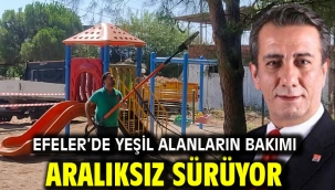 EFELER'DE YEŞİL ALANLARIN BAKIMI ARALIKSIZ SÜRÜYOR