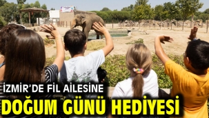 İzmir'de fil ailesine doğum günü hediyesi