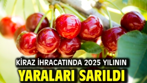 Kiraz ihracatında 2025 yılının yaraları sarıldı