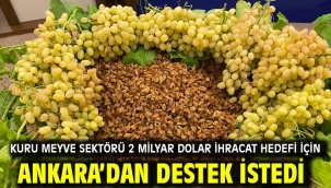 Kuru meyve sektörü 2 milyar dolar ihracat hedefi için Ankara'dan destek istedi