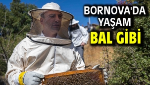 Bornova'da yaşam bal gibi