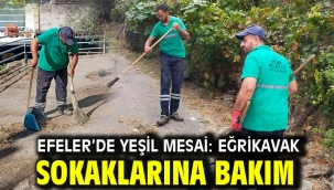EFELER'DE YEŞİL MESAİ: EĞRİKAVAK SOKAKLARINA BAKIM