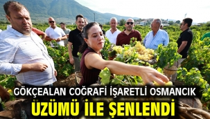 Gökçealan Coğrafi İşaretli Osmancık Üzümü İle Şenlendi