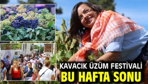 Kavacık Üzüm Festivali Bu Hafta Sonu