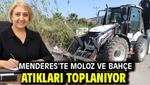 Menderes'te Moloz ve Bahçe Atıkları Toplanıyor