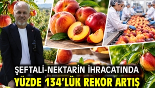 Şeftali-nektarin ihracatında yüzde 134'lük rekor artış