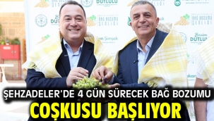 ŞEHZADELER'DE 4 GÜN SÜRECEK BAĞ BOZUMU COŞKUSU BAŞLIYOR