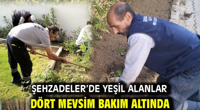 ŞEHZADELER'DE YEŞİL ALANLAR DÖRT MEVSİM BAKIM ALTINDA