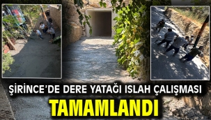 Şirince'de Dere Yatağı Islah Çalışması Tamamlandı