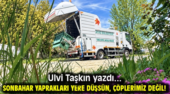 SONBAHAR YAPRAKLARI YERE DÜŞSÜN, ÇÖPLERİMİZ DEĞİL!