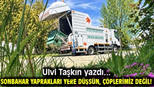 SONBAHAR YAPRAKLARI YERE DÜŞSÜN, ÇÖPLERİMİZ DEĞİL!