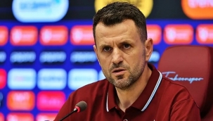 Trabzon'da Çimşir iddiası