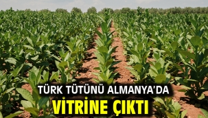 Türk tütünü Almanya'da vitrine çıktı