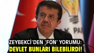 Zeybekci'den 'fon' yorumu: Devlet bunları bilebilirdi!