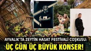 Ayvalık'ta Zeytin Hasat Festivali Coşkusu: Üç Gün Üç Büyük Konser!