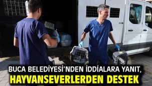Buca Belediyesi'nden iddialara yanıt, hayvanseverlerden destek
