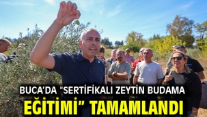 Buca'da "Sertifikalı Zeytin Budama Eğitimi" tamamlandı