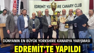 Dünyanın en büyük Yorkshire Kanarya Yarışması Edremit'te yapıldı