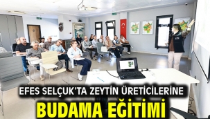 Efes Selçuk'ta Zeytin Üreticilerine Budama Eğitimi