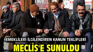 Emeklileri ilgilendiren kanun teklifleri Meclis'e sunuldu