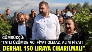 Gümrükçü: "Tatlı Üzümde Acı Fiyat Olmaz, Alım Fiyatı Derhal 150 Liraya Çıkarılmalı"