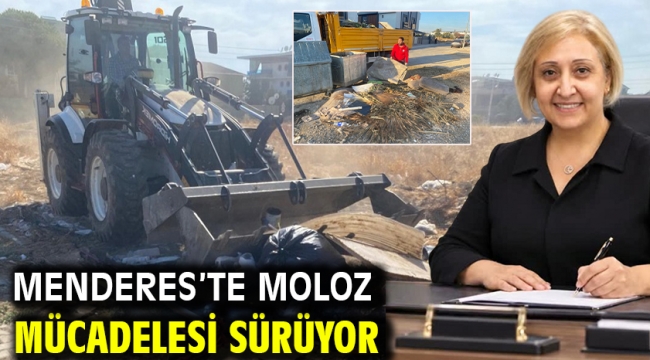 Menderes'te Moloz Mücadelesi Sürüyor