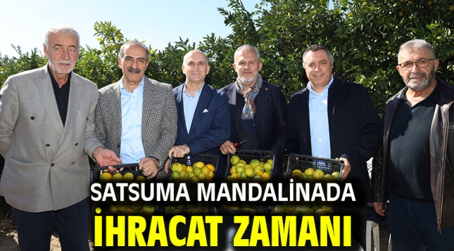 Satsuma mandalinada ihracat zamanı
