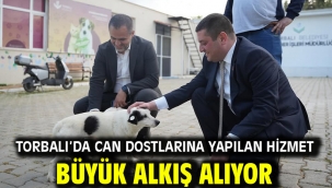 Torbalı'da Can Dostlarına Yapılan Hizmet Büyük Alkış Alıyor