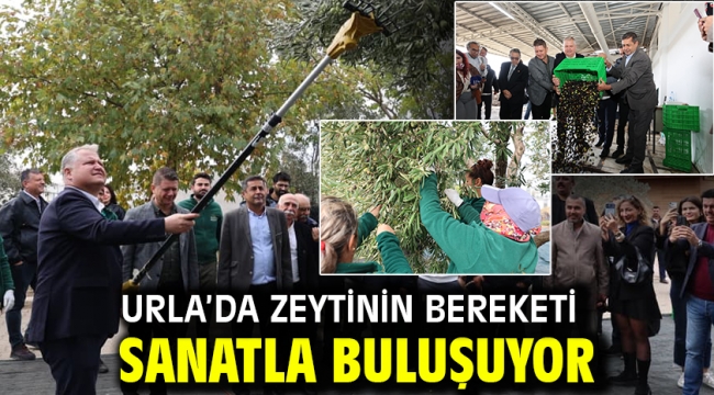Urla'da zeytinin bereketi sanatla buluşuyor